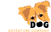 GoldenDog_Logo_ReverseGold-header