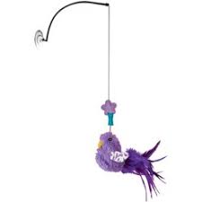 CONNECTS WINDOW TEASER