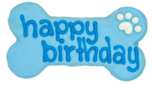 BLUE HAPPY BIRTHDAY BONE DOG COOKIE