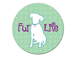FUR LIFE DOG OVAL MAGNET