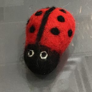 LADY BUG WOOL CAT TOY