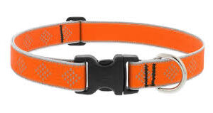 ORANGE DIA 1/2" HL 8-12" ADJ COLLAR