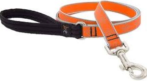 ORANGE DIA 3/4" HL 6ft LEASH