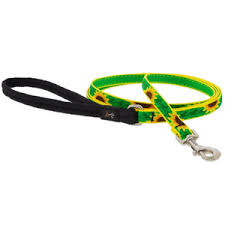 SUNFLOWERS 1" 6' LEASH