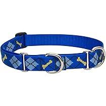 DAPPER DOG MARTINGALE