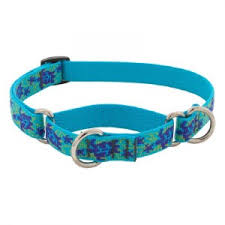 TURTLE REEF MARTINGALE