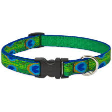 TAIL FEATHERS 1/2" 8-12" ADJ COLLAR