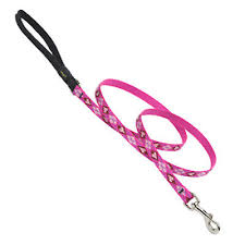 PUPPY LOVE 1/2" 6ft LEASH