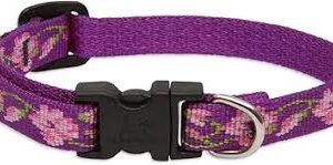 ROSE GARDEN 1/2" 10-16" ADJ COLLAR