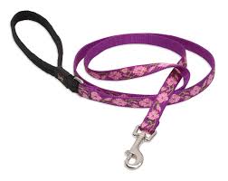 ROSE GARDEN 1/2" 6ft LEASH
