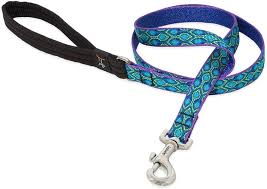 RAIN SONG 1" 6ft LEASH