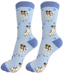 JACK RUSSELL SOCKS