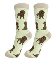 DACHSHUND RED SOCKS