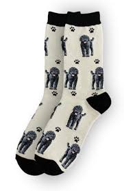 LABRADOODLE SOCKS