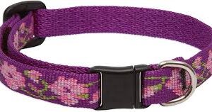 ROSE GARDEN 1/2" 8-12 CAT SAFETY COLLAR