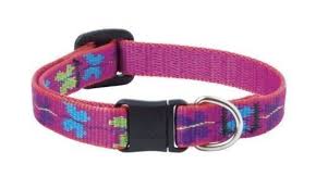 WING IT 1/2" 8-12 CAT SAFETY COLLAR