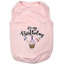 BIRTHDAY GIRL T-SHIRT (XXS)
