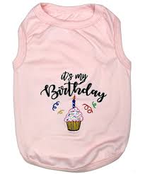 BIRTHDAY GIRL T-SHIRT (XS)