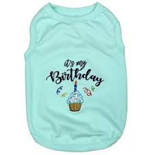 BIRTHDAY BOY T-SHIRT (XS)
