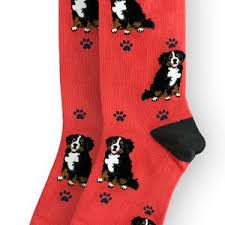 BERNESE MT DOG SOCKS