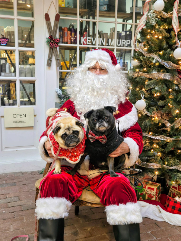 IMG_20251021_112322 (1) Ollie, Ozzy and Santa