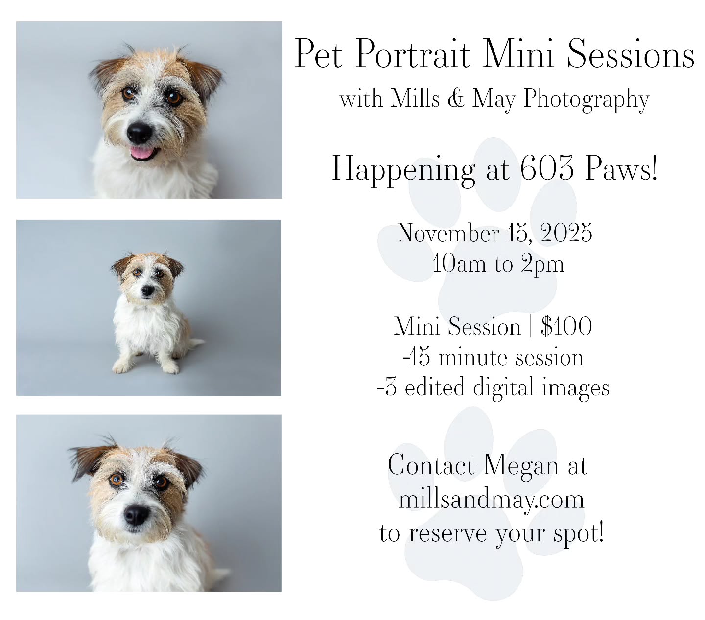 Petprotrait25 Pet Portraits